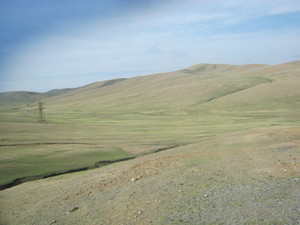 Steppe