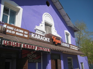 Vegan Karaoke Lounge